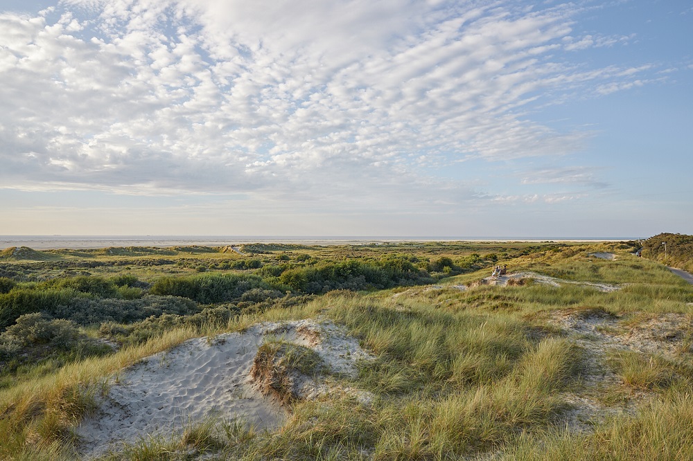 Weitblick von der Knappschafts-Klinik über die Dünen der Insel Borkum. Weitblick von der Knappschafts-Klinik über die Dünen der Insel Borkum.
